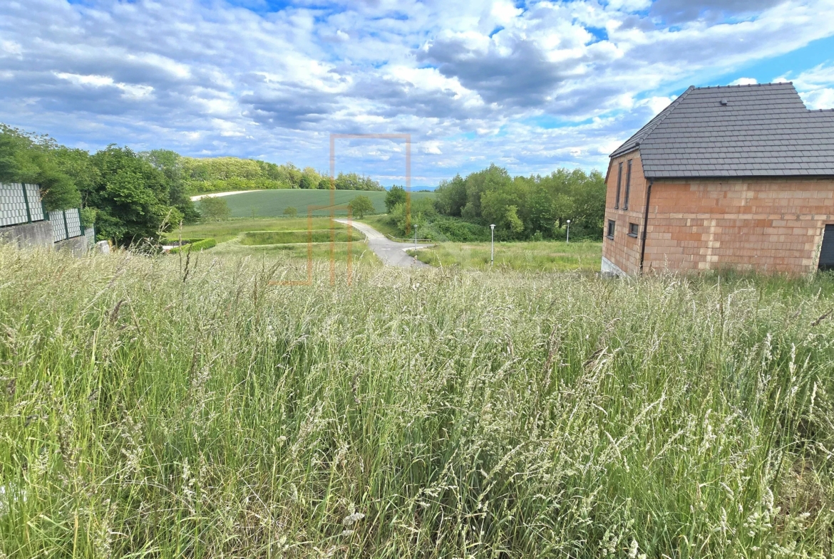 1bf8a42d623993091504dc3d28e22031_1154a00643_4000-original