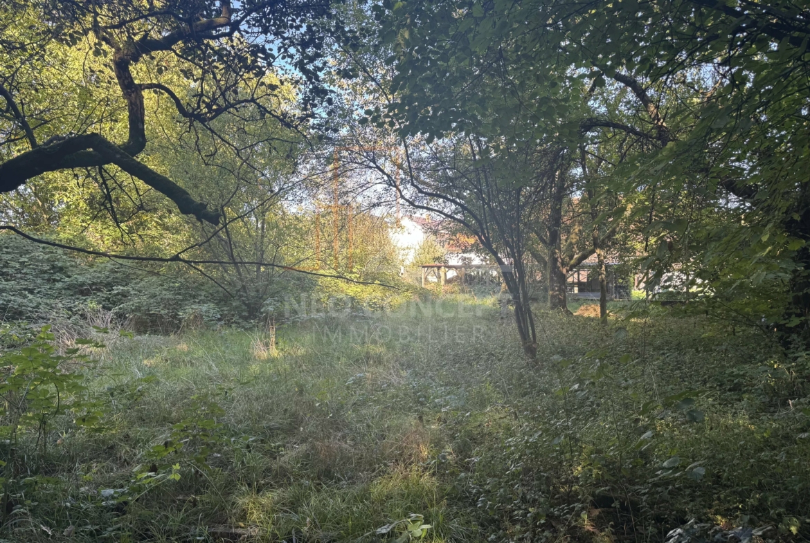 36646c9896a4b8ac60da2cc8071b3dbf_47cd59d6d8_4096-original