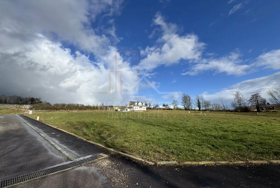 853123c79c6b60b369310958e5025ee8_822c1e823d_4032-original