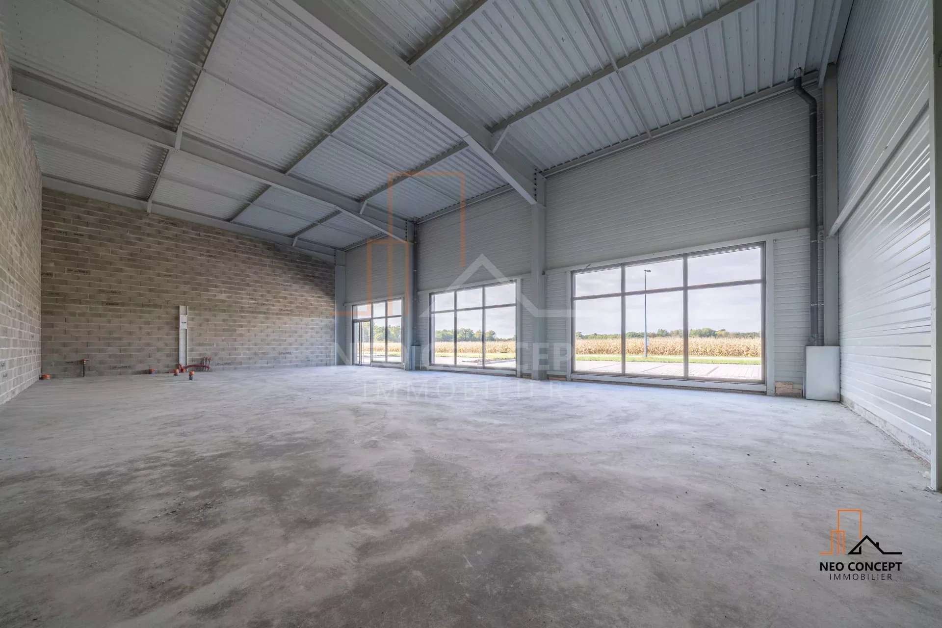 2304e560afdb1b8ffe75d3b025fca4d2_3bea0353e1_1920-original