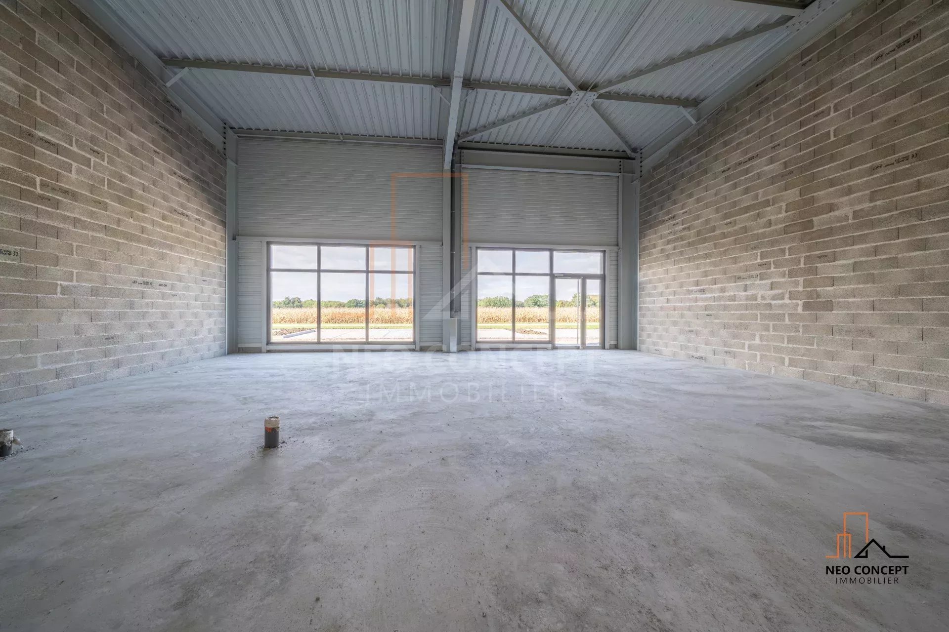 2484b6d28d1e9f3cb525d26653320852_22cf97f70c_1920-original