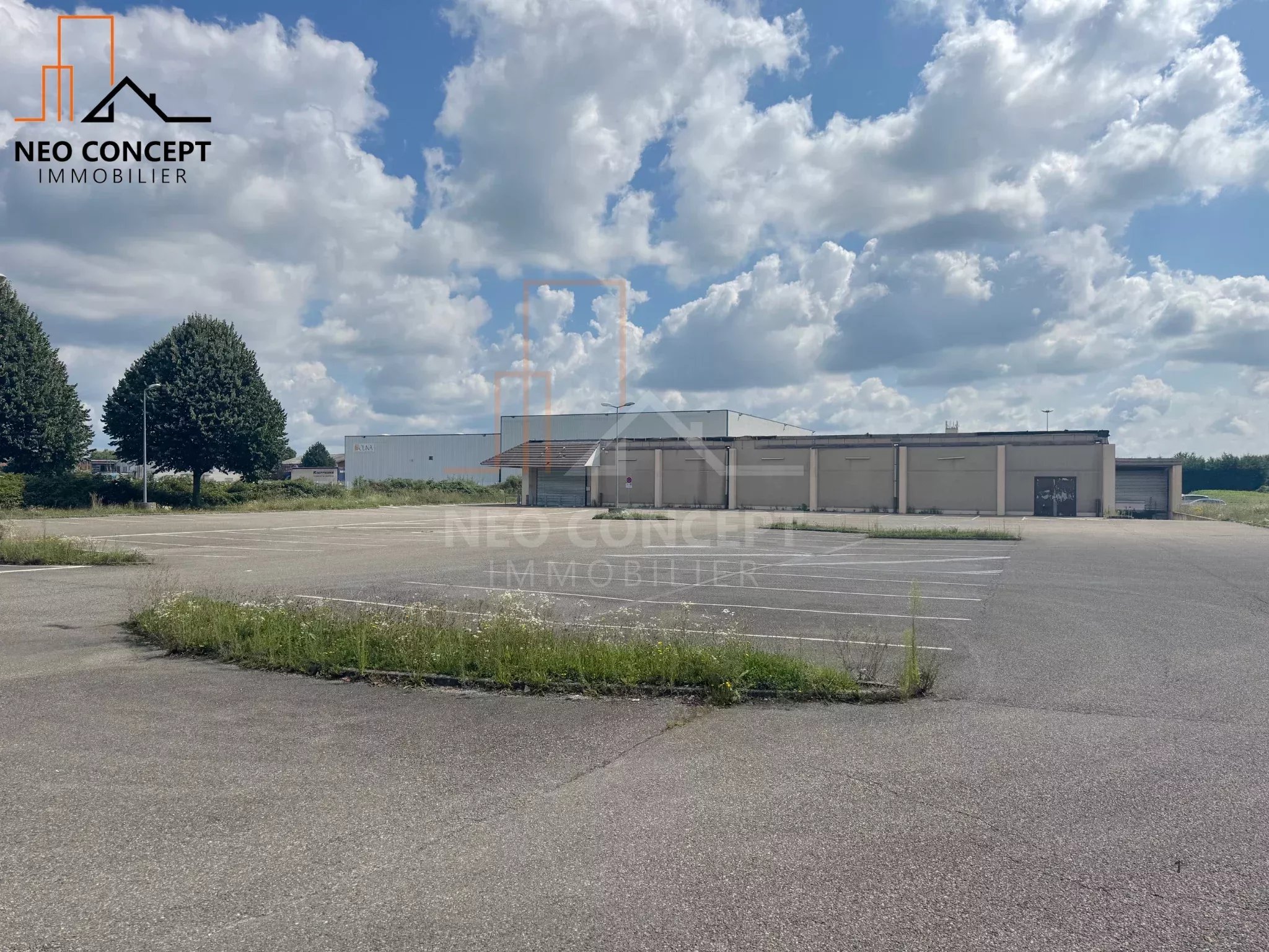 3d8399757f4a93be18c320162bd8554e_c17cc5d76a_2048-original