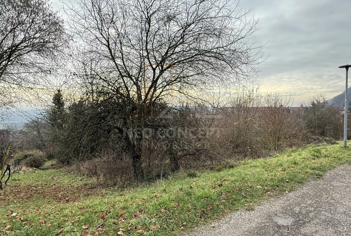 5cab1df0b8b598420fa952ce5f91aa73_85d4290234_4032-original