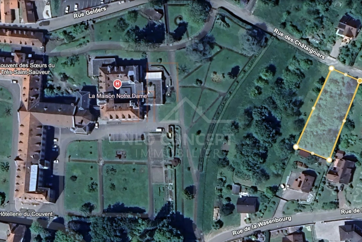 5e95abf465a13e14a6be16128b6bd806_428fe481ad_2099-original