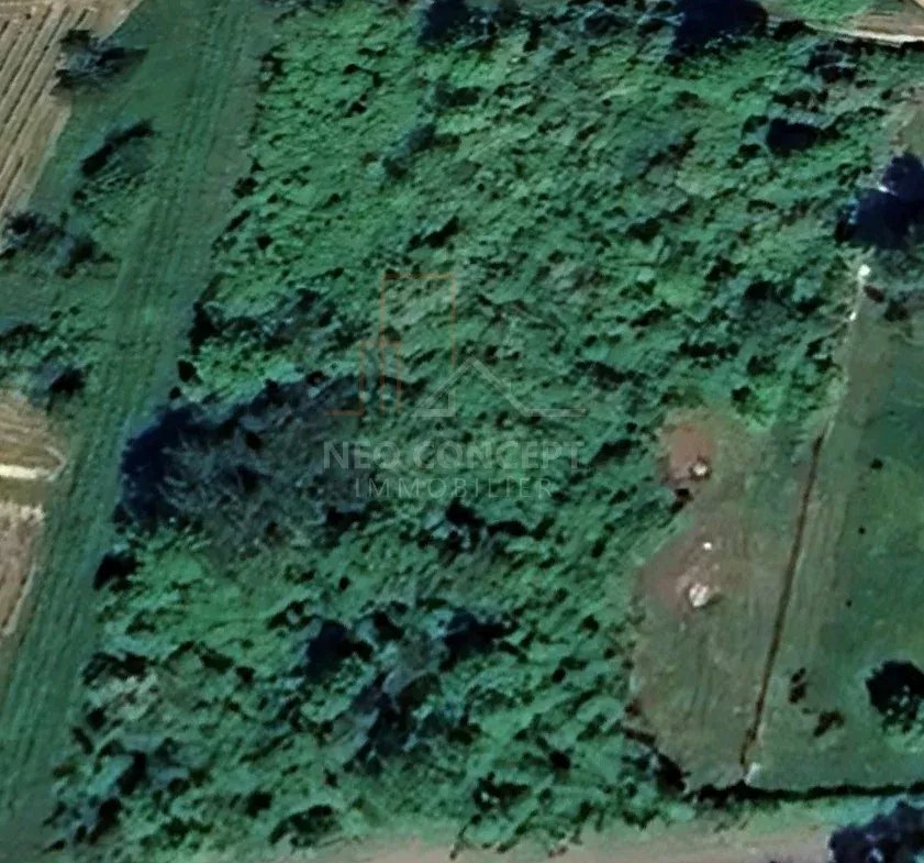 7004803994b3be50f43734977c39b85e_5f965f4e2d_947-original