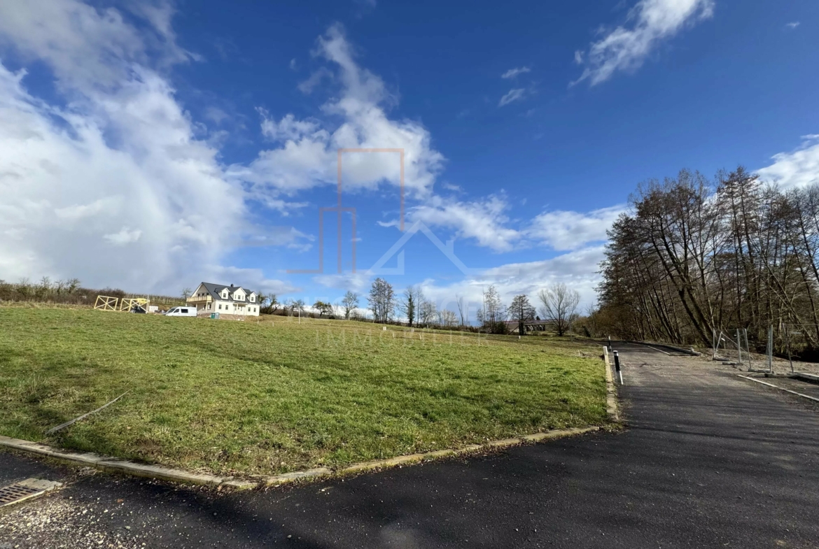 96fdad5a5aa251d2cab7ea1b98767efe_3a95cdf38a_4032-original