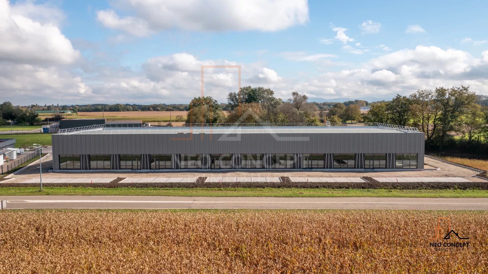 9d2f93ceda7762eae76c931388d8ba1a_693cafb794_1920-original