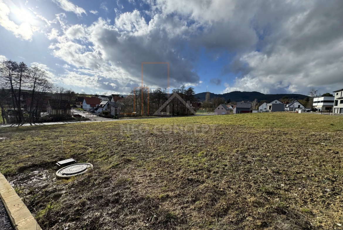 b19adce44b9e81d2381eaabdcb7f223b_40d5c2572e_4032-original