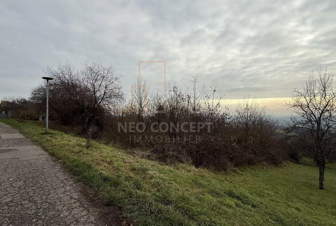 bce3502b131c74ddb857e59c02bbe9d9_cb6ded5ac1_4032-original