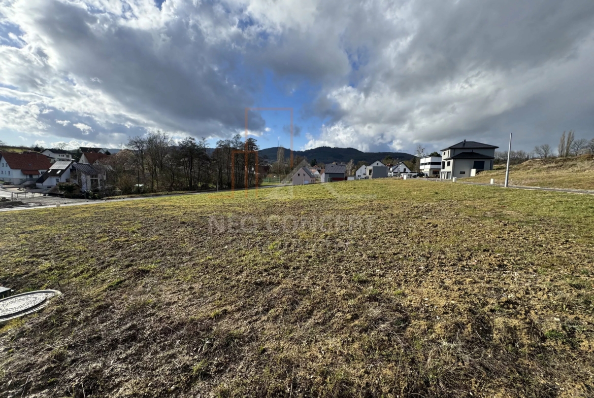 c40969c240fe97d05e43a536ee835e3c_97b014747b_4032-original