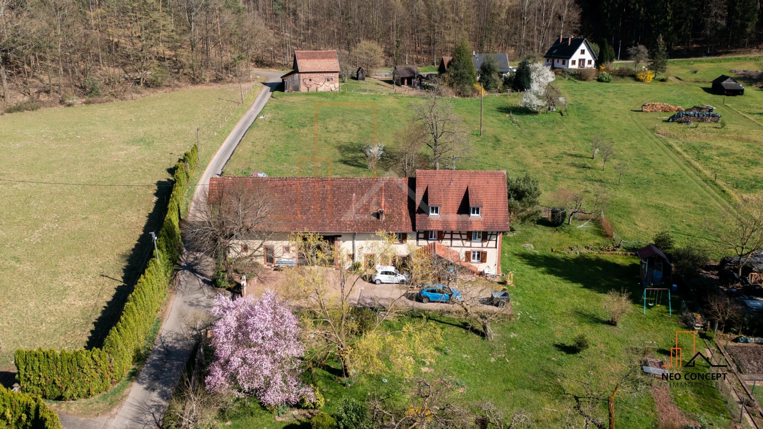 d157133ce7b80ba02c29b503764394b5_7c92205918_4096-original