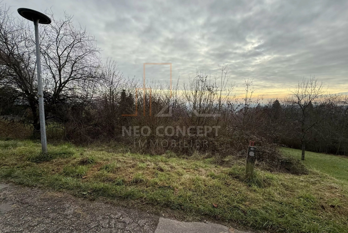 d79b6c9af1c4e4a7e22abdaff504b89e_923de3be44_4032-original