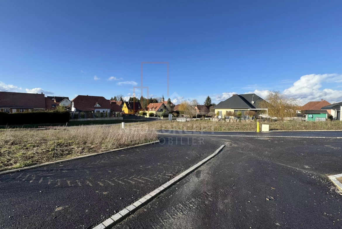 d8c51b92078a896272f32433d4227550_2e8bf533ab_4032-original