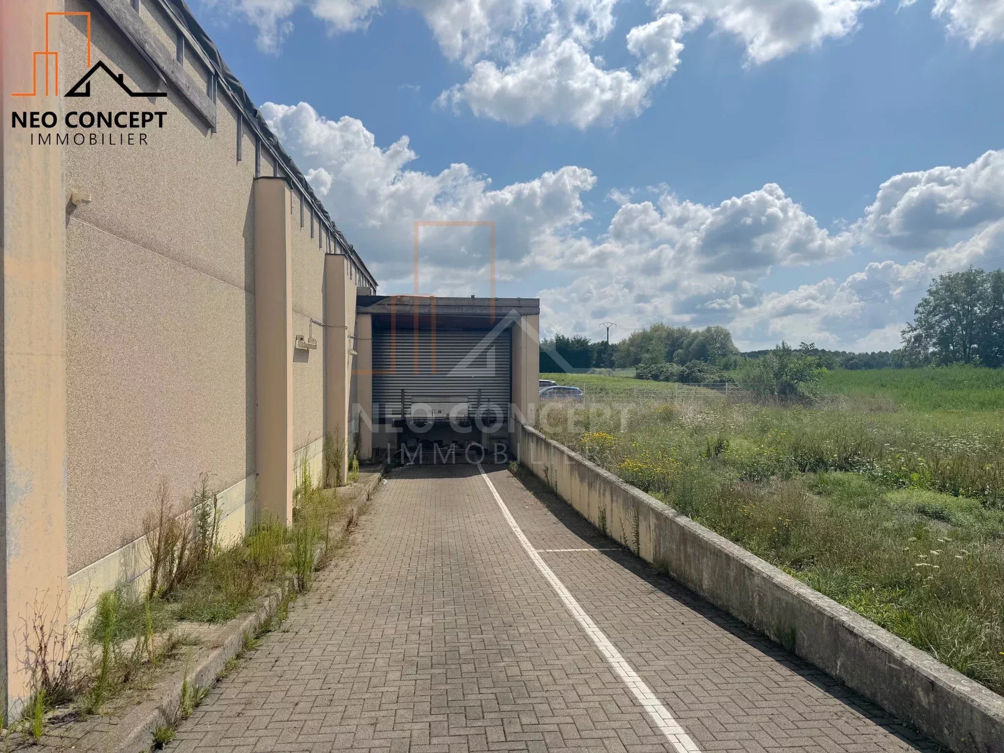 da64a4d62a79f01e94d61ab8a7bd1e56_23b91a18b2_2048-original