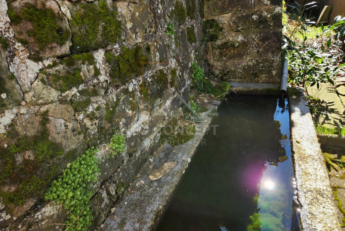 e11f7adc3c13c9db56d6f37679eee3c3_95ad913c2c_4000-original