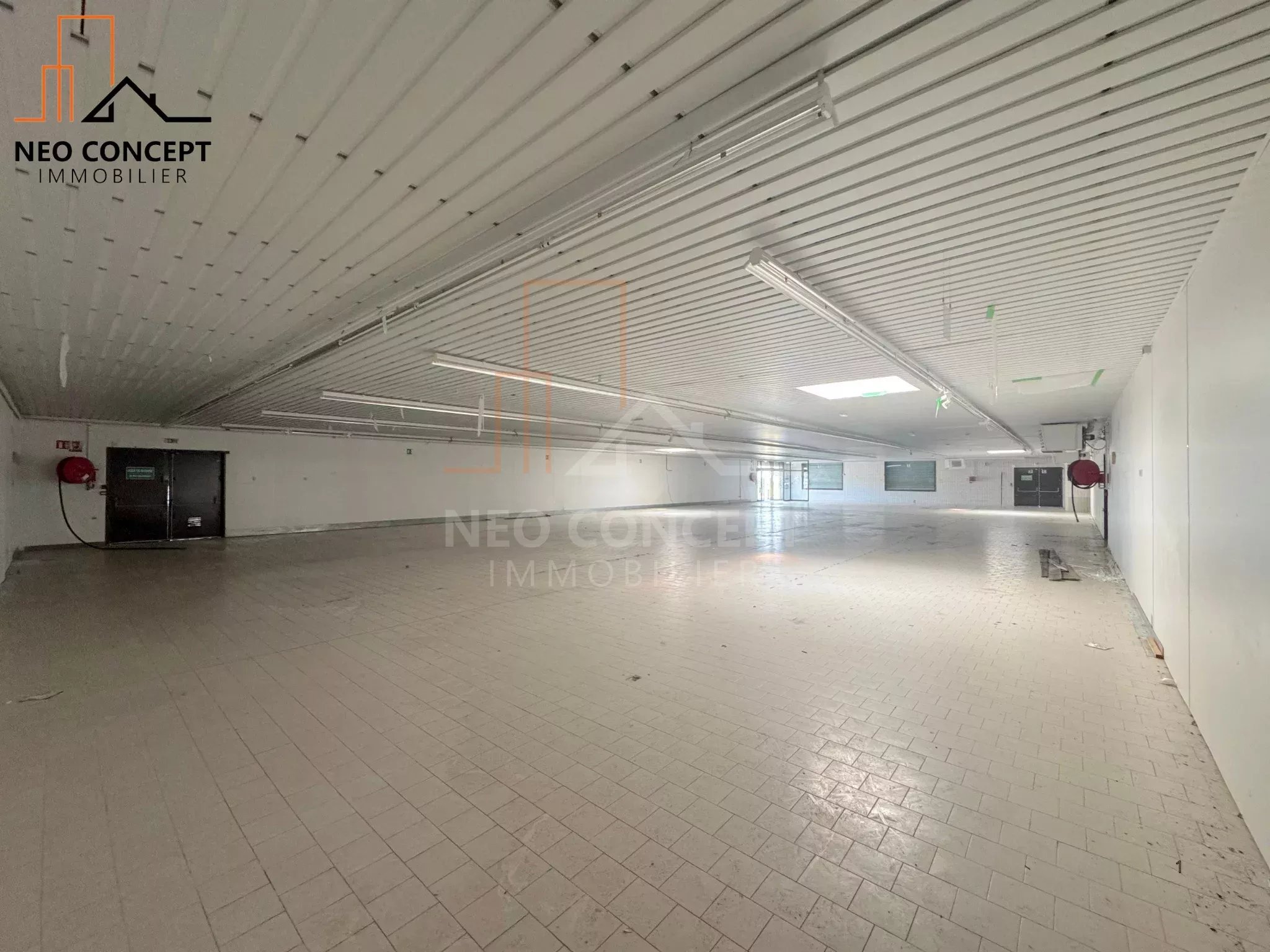 ec0ac5a672cbea1f308189f04c12d426_3d7a8949bd_2048-original