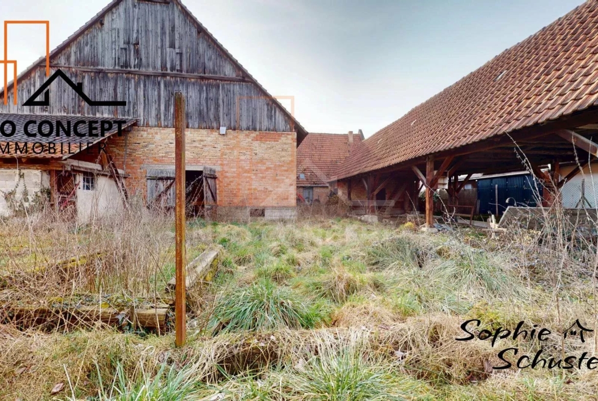 1053f8dd2edec6eceada922222a6501c_97f5527322_1920-original