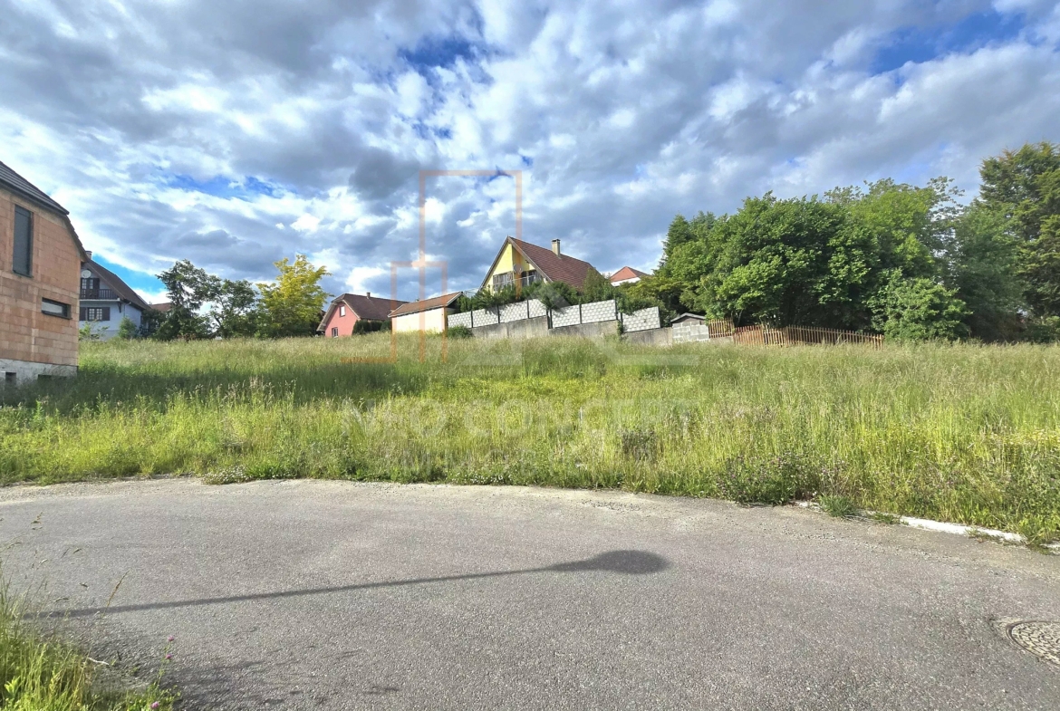 148cf20861bdd3bd0e5c37d89ea4ef0e_19732be562_4000-original