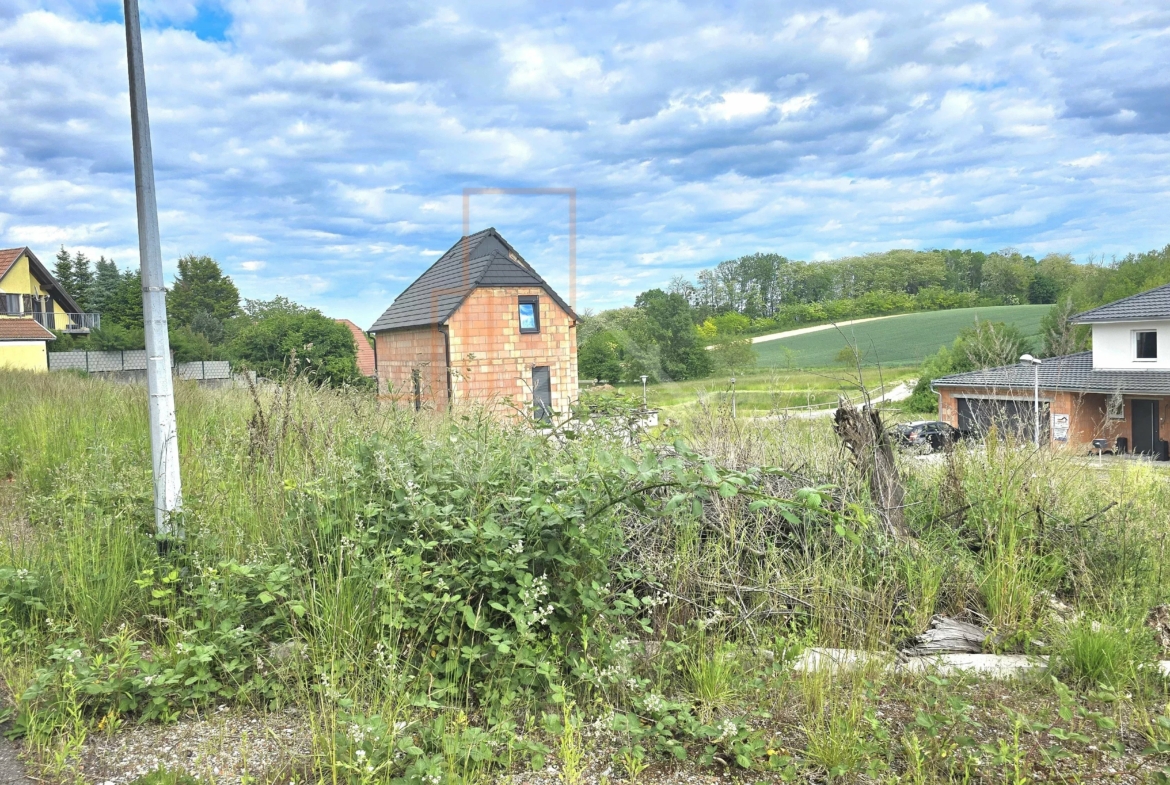 14edc1fcee68b82c7de03c5f2897931c_7368dbb8d5_4000-original