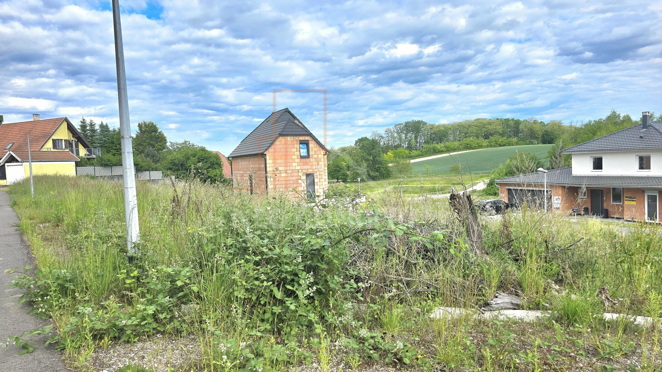 14edc1fcee68b82c7de03c5f2897931c_7368dbb8d5_4000-original