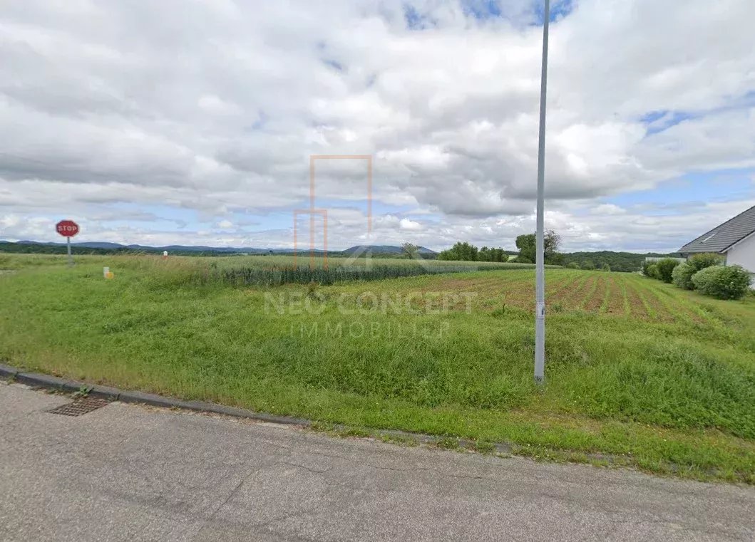 23bb376439a823e2ffde4235085580e9_4a0b4e8545_1059-original