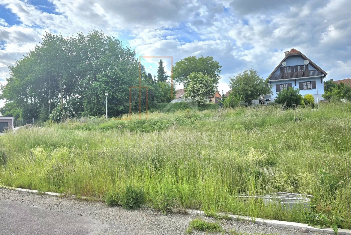 281d98a3673423fe10d62a1e151d6472_30f854052e_4000-original