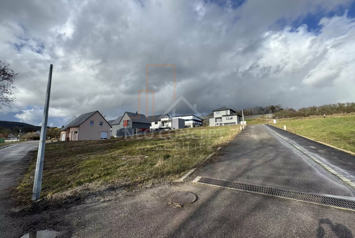 5a92b2e2447e52b30937c59e7ffe5ede_8adc3e1d7c_4032-original