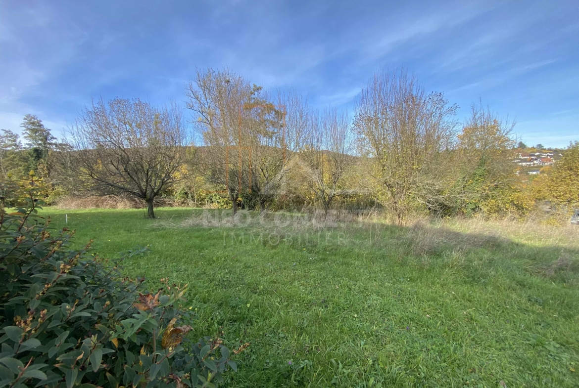 68cd3e5a499bc0ffc6bd8b7594049497_10da882e52_4032-original