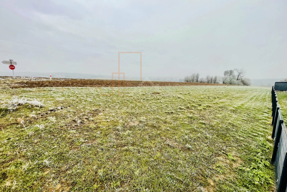 6b007cd3919d1a49b429408797e3bf6d_4a6ed7510f_4032-original