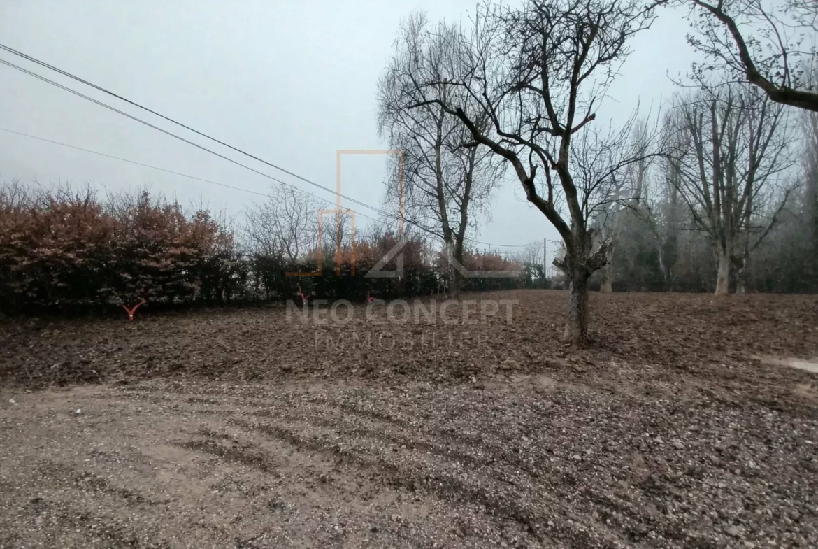 6c80de4b514e13c664b3a5546638c1b4_4ff5ebb96b_1536-original