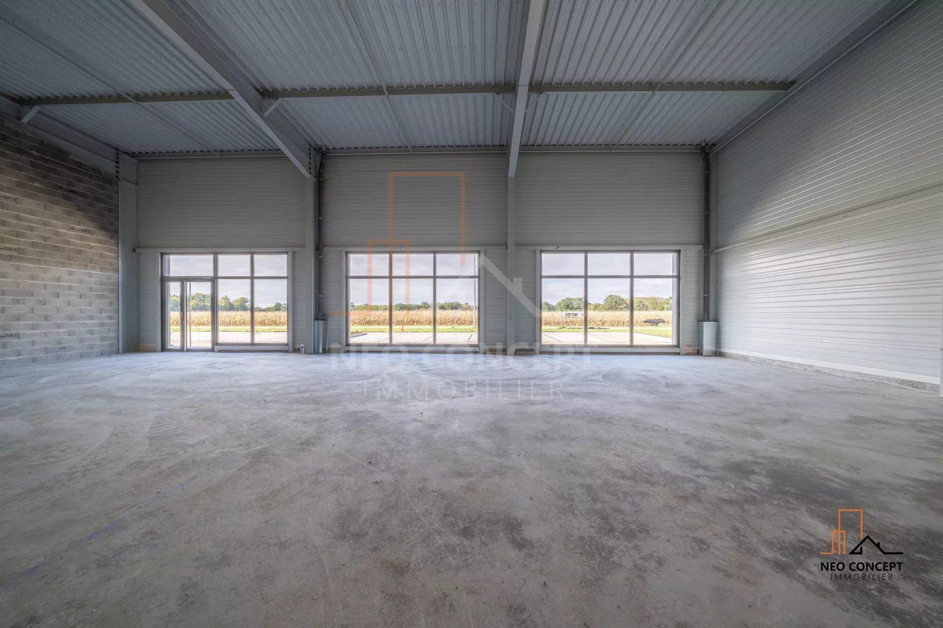 7616e9f88167cd12c7783e4289228acd_20e30d3ba7_1920-original