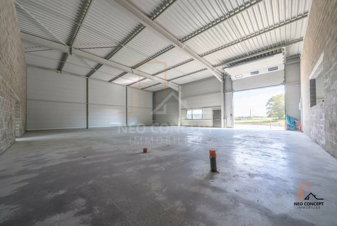 be300d26bad41e0508e2f39bb761ab16_6669270e71_1920-original