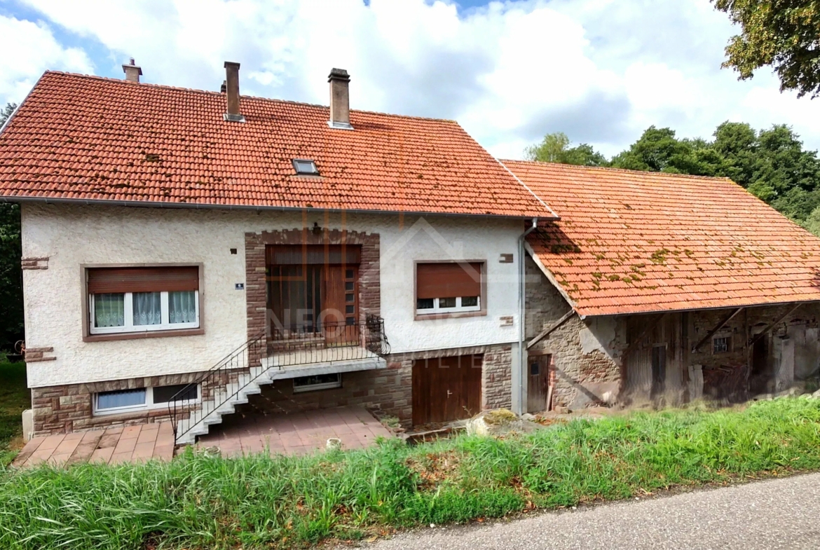 da6939f6c704dd85eef096ed539ce920_c21cc78201_4000-original