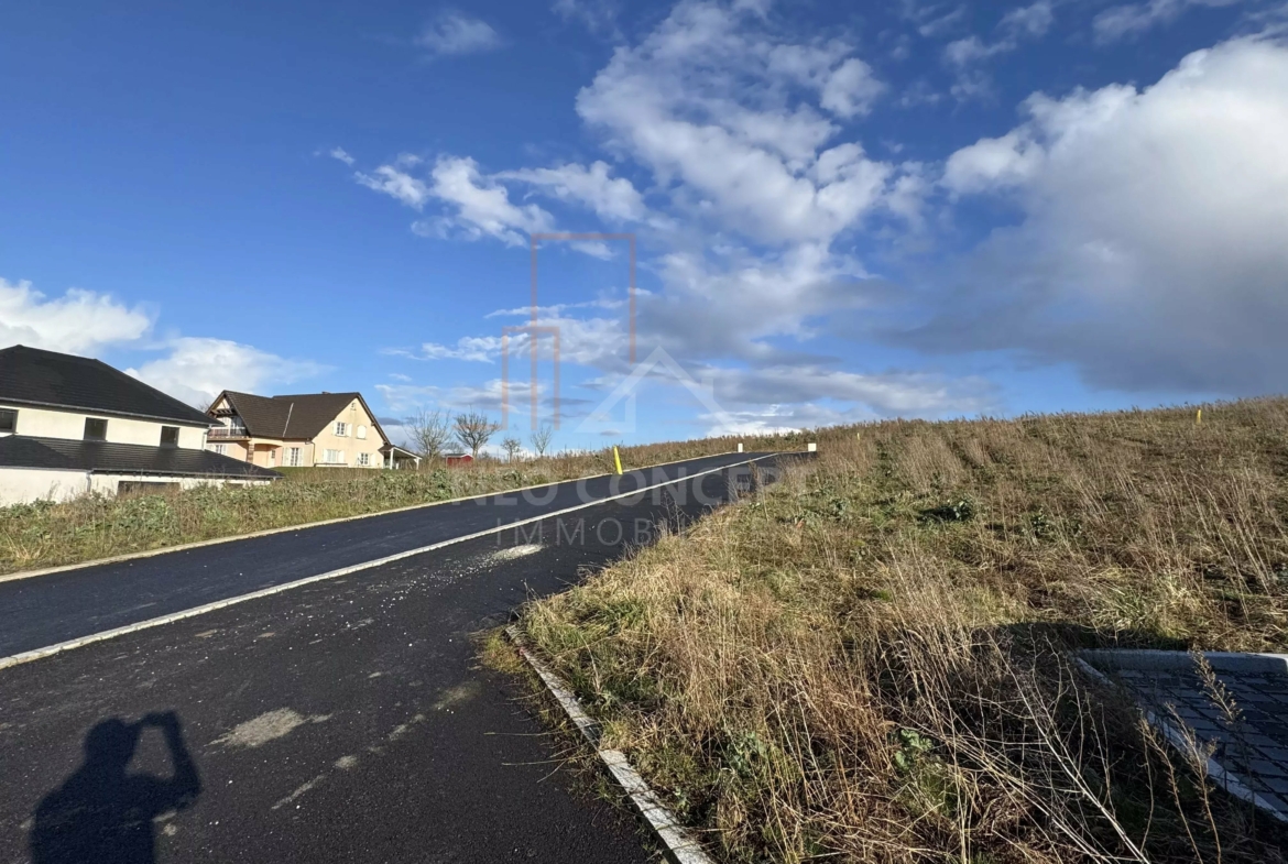 eae57e7da5dfb33e269dbd5c7faf31fd_cad2a5c3d1_4032-original