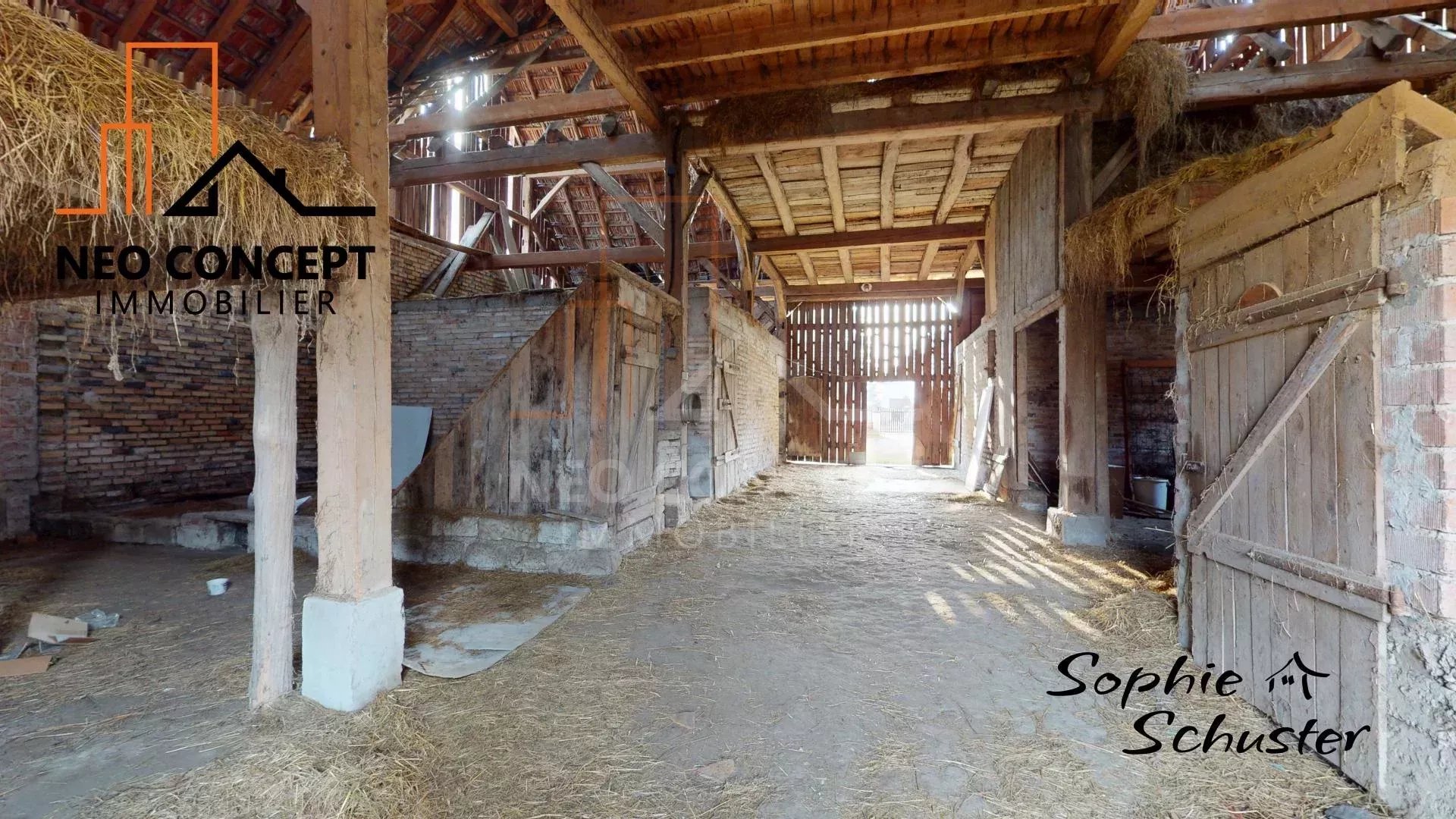 eafa6f6873b607ffcf0524bf8462aa48_651420e35e_1920-original