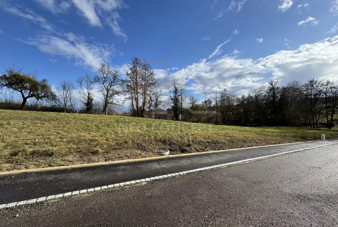 fcfc47520e48b273a496b033ba5c1aab_0a49480fb8_4032-original