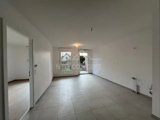 71081904