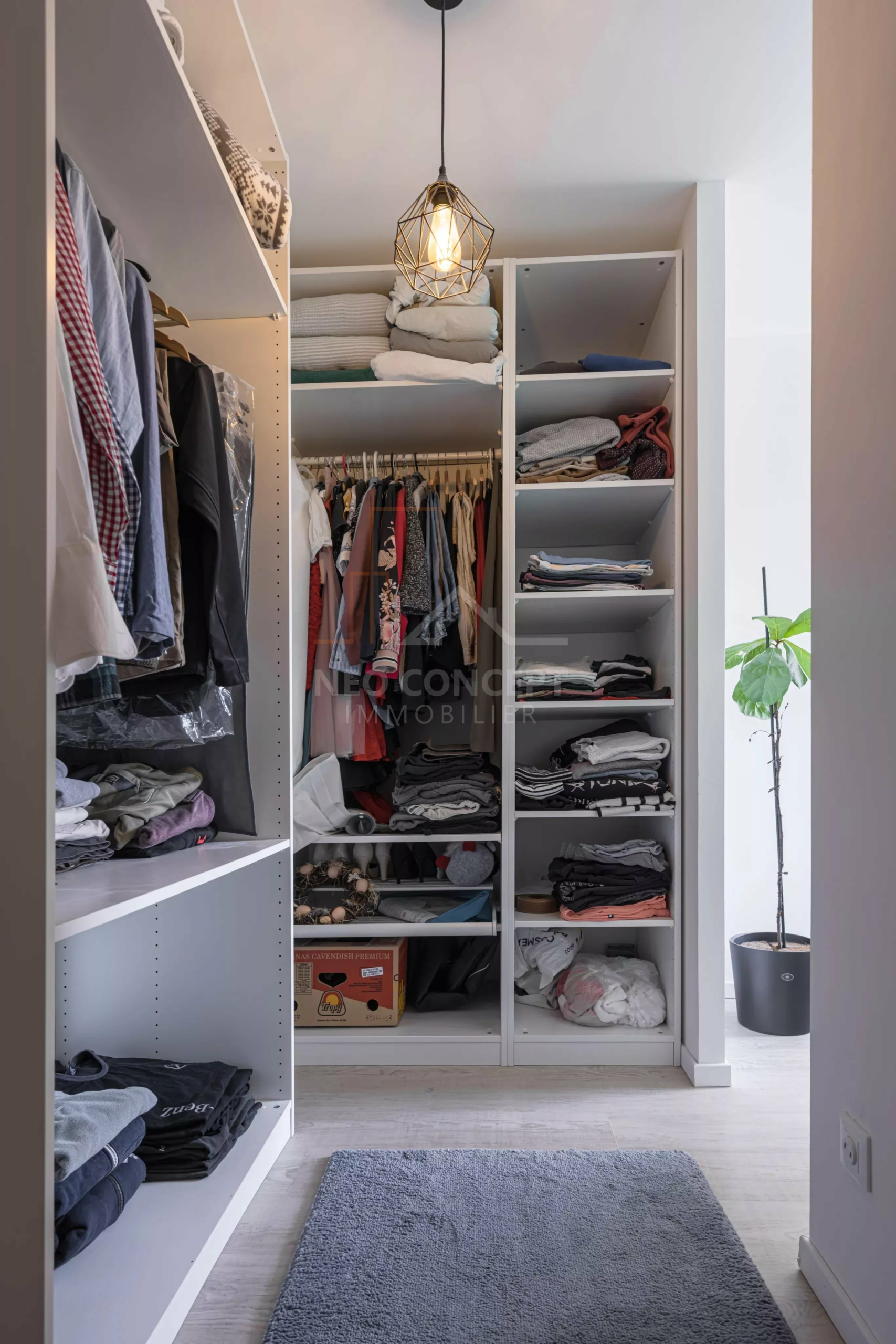 29be225f